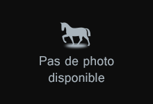 OLYMPE DES HOUCHES 