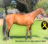 HEMINGWAY DES HOUCHES par VAGABOND DE LA POMMEet BANBOU DE HUS